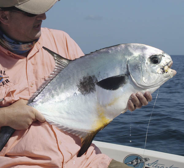 Mit Krabbenmustern kann man den begehrten Permit beim Fliegenfischen auf den Flats betören